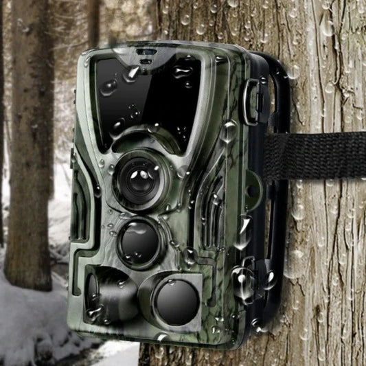 Hunting camera with screen